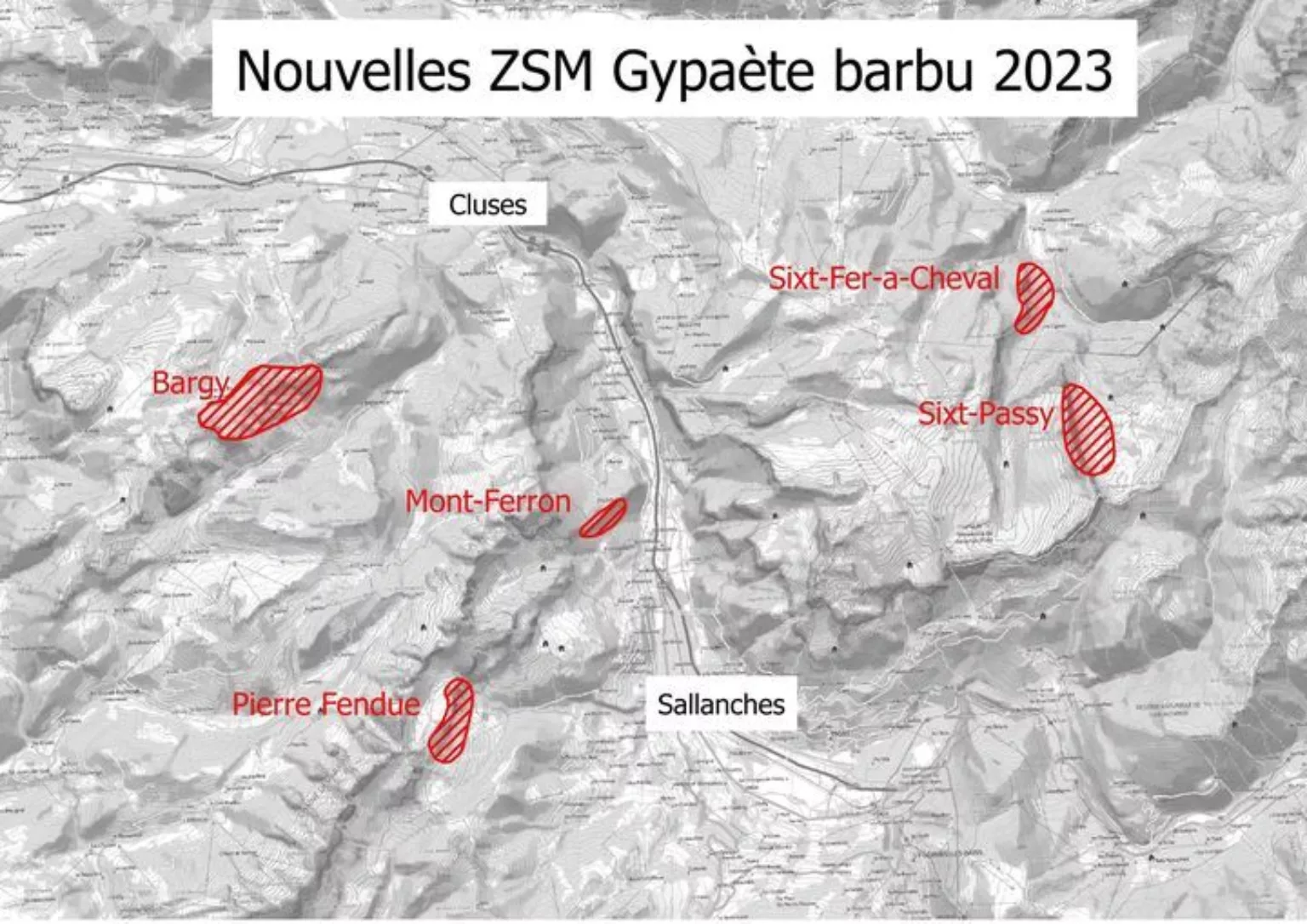 Gypaete 2023