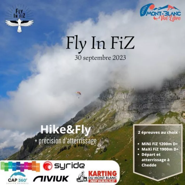 Fly fiz 03